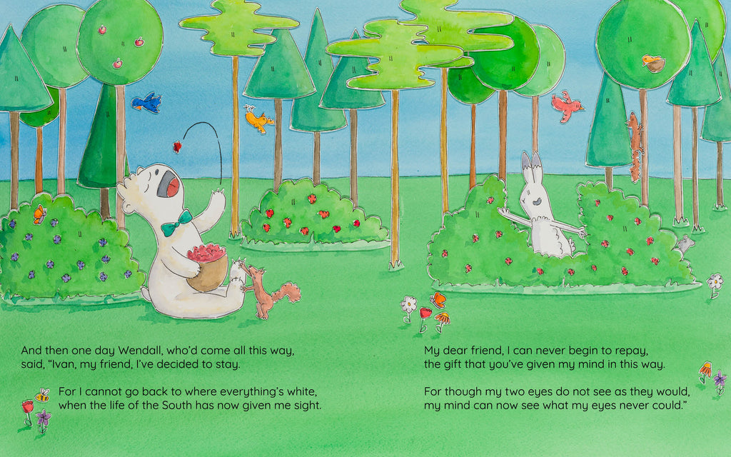 Bear Extraordinaire Picture Book - Signed